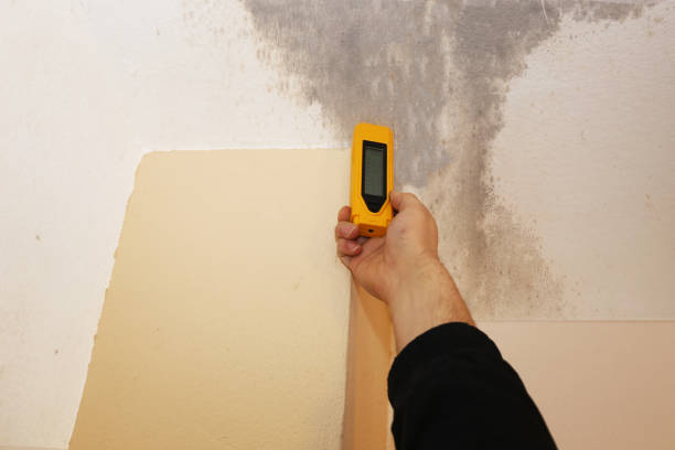 Best Mold Removal for HVAC Installations  in Detroit Beach, MI