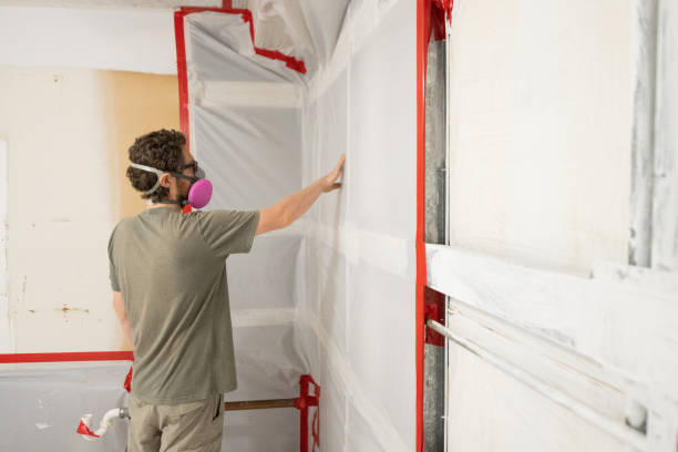 Best Airborne Mold Testing  in Detroit Beach, MI
