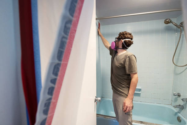 Best Mold Damage Restoration  in Detroit Beach, MI
