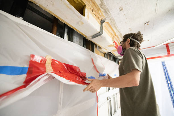 Best Residential Mold Inspection & Testing  in Detroit Beach, MI