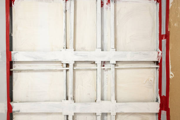 Trusted Detroit Beach, MI Mold Removal Experts