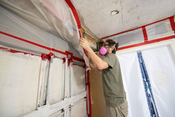 Best Industrial Mold Remediation  in Detroit Beach, MI