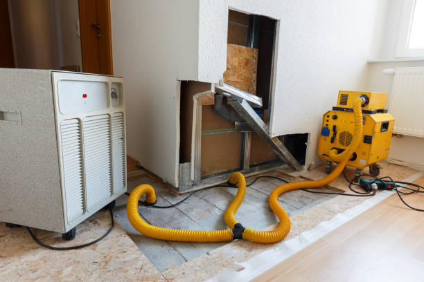 Best Mold Remediation for Rental Properties  in Detroit Beach, MI