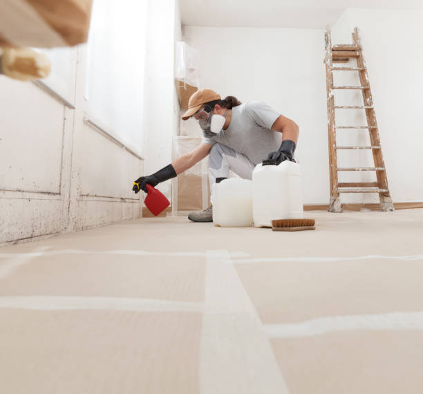 Best Air Quality Testing for Mold Spores  in Detroit Beach, MI